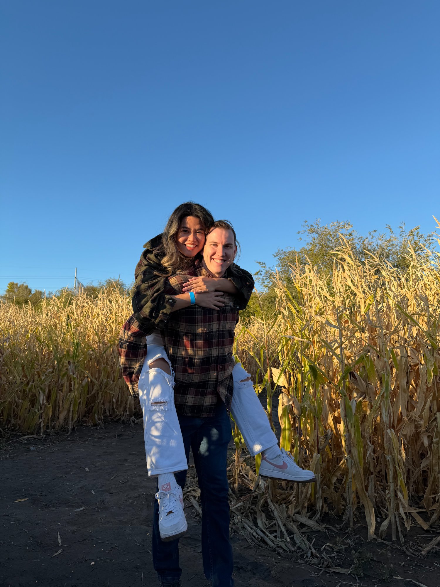Corn maze adventure